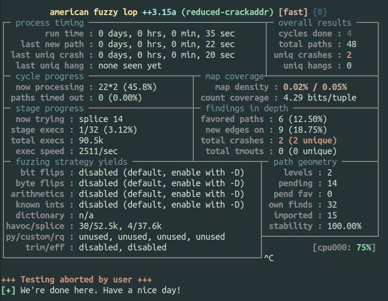 AFL++ result on reduced-crackaddr